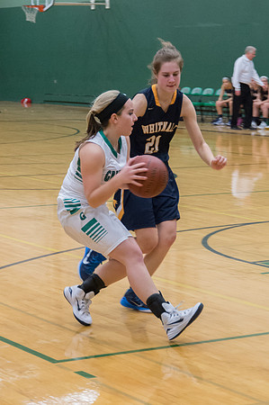 2015 Greendale Girls Varsity Basketball