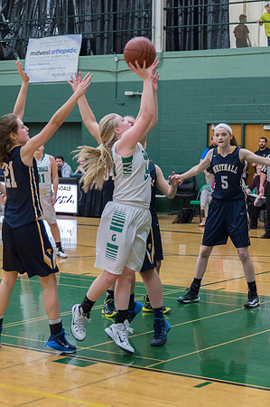 2015 Greendale Girls Varsity Basketball