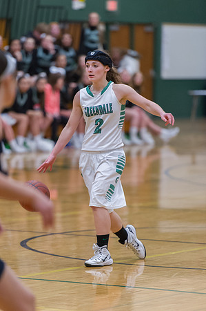 2015 Greendale Girls Varsity Basketball