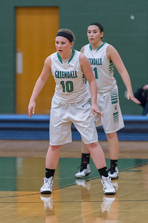 2015 Greendale Girls Varsity Basketball