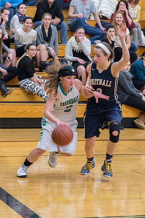 2015 Greendale Girls Varsity Basketball