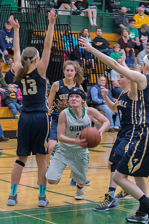 2015 Greendale Girls Varsity Basketball