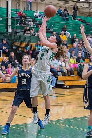 2015 Greendale Girls Varsity Basketball