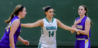 2015 Greendale Girls Varsity Basketball