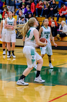 2015 Greendale Girls Varsity Basketball