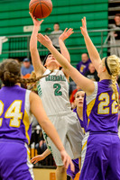 2015 Greendale Girls Varsity Basketball