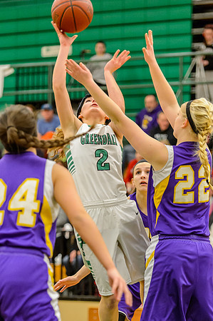 2015 Greendale Girls Varsity Basketball