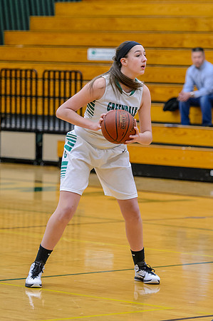 2015 Greendale Girls Varsity Basketball