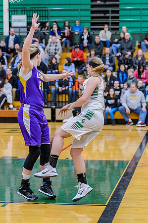 2015 Greendale Girls Varsity Basketball