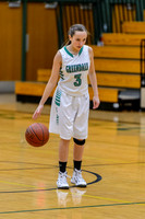 2015 Greendale Girls Varsity Basketball
