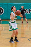 2016 Greendale Girls Varsity Basketball