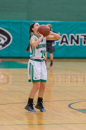 2016 Greendale Girls Varsity Basketball