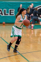 2016 Greendale Girls Varsity Basketball