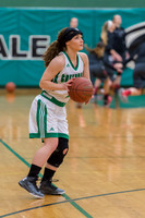 2016 Greendale Girls Varsity Basketball