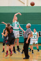 2016 Greendale Girls Varsity Basketball