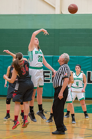2016 Greendale Girls Varsity Basketball