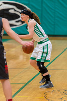 2016 Greendale Girls Varsity Basketball