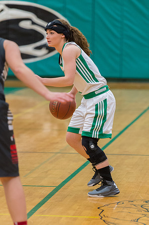 2016 Greendale Girls Varsity Basketball