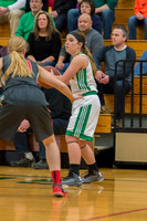 2016 Greendale Girls Varsity Basketball