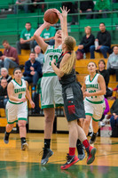 2016 Greendale Girls Varsity Basketball
