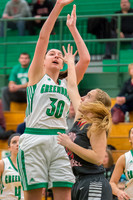 2016 Greendale Girls Varsity Basketball
