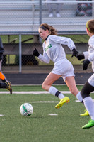 2016 Greendale Girls Varsity Soccer