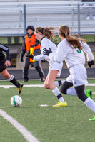 2016 Greendale Girls Varsity Soccer
