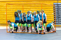 2015 Steperette Cadets Winter Guard