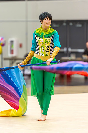 2015 Greendale winter guard