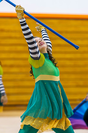 2015 Greendale winter guard