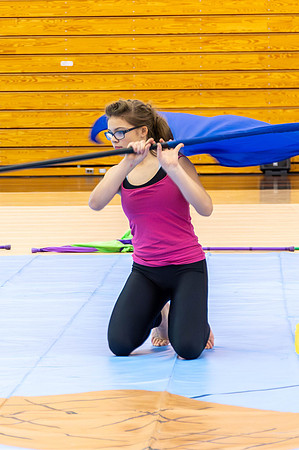2015 Armada Cadets Winter Guard