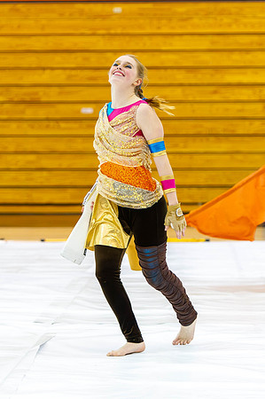 2015 Allegiance Winter Guard
