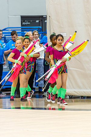 2015 West Bend Winter Guard