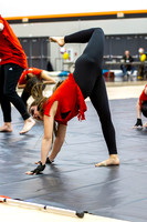 2015 Blue Devil II Winter Guard