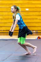 2015 Steperette Cadets Winter Guard