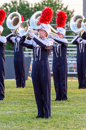 2014 Blue Stars