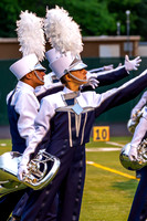 2013 Blue Stars