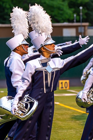 2013 Blue Stars