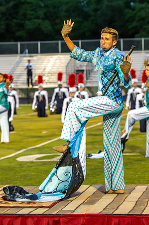 2015 Blue Stars