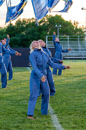 2014 Blue Stars