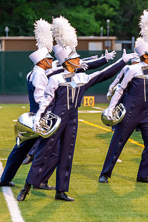 2013 Blue Stars
