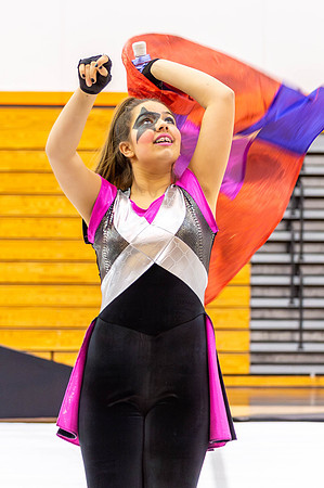 2014 Steperette Cadets Winter Guard