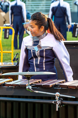 2014 Blue Stars