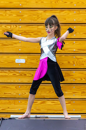 2014 Steperette Cadets Winter Guard