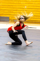 2015 Blue Devil II Winter Guard