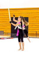 2014 Steperette Cadets Winter Guard