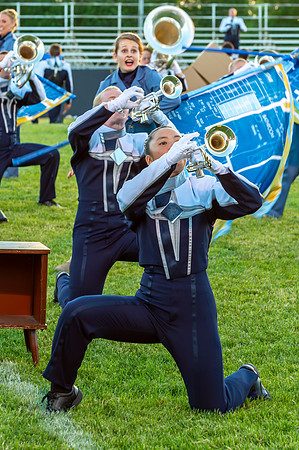 2014 Blue Stars