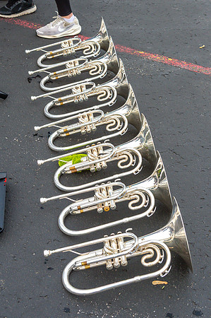 2025 Greendale Marching Band