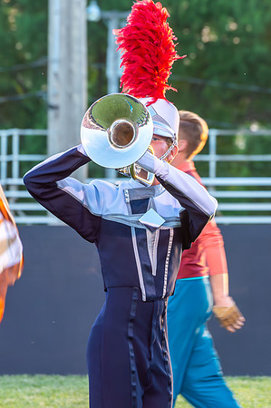 2014 Blue Stars