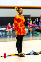 2015 Crete-Monee Winter Guard